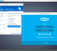 Teamviewer e Skype 32bit